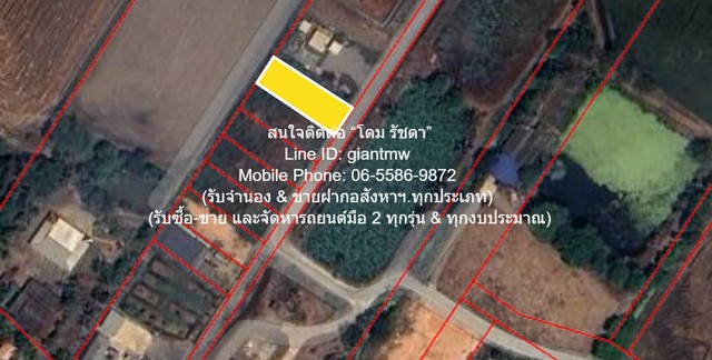 ประกาศฟรี! ซื้อ-ขาย-เช่า คอนโด บ้าน ทาวน์โฮม ที่ดิน และพื้นที่เชิงพาณิชย์ทั่วประเทศไทย ทุกทำเล ทุกงบประมาณ ไม่มีค่าใช้จ่าย ลงง่าย ขายไว เข้าถึงผู้ซื้อโดยตรง 2 297268pic1.jpg