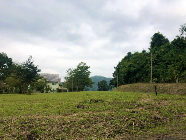 ประกาศฟรี! ซื้อ-ขาย-เช่า คอนโด บ้าน ทาวน์โฮม ที่ดิน และพื้นที่เชิงพาณิชย์ทั่วประเทศไทย ทุกทำเล ทุกงบประมาณ ไม่มีค่าใช้จ่าย ลงง่าย ขายไว เข้าถึงผู้ซื้อโดยตรง 2 491996pic1.jpg