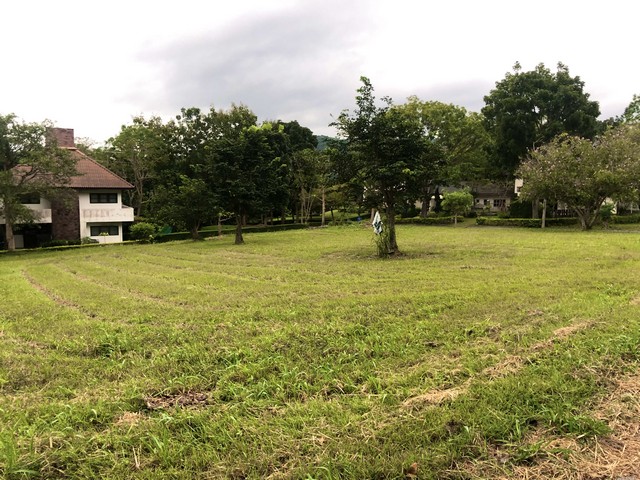 ประกาศฟรี! ซื้อ-ขาย-เช่า คอนโด บ้าน ทาวน์โฮม ที่ดิน และพื้นที่เชิงพาณิชย์ทั่วประเทศไทย ทุกทำเล ทุกงบประมาณ ไม่มีค่าใช้จ่าย ลงง่าย ขายไว เข้าถึงผู้ซื้อโดยตรง 5 491996pic4.jpg