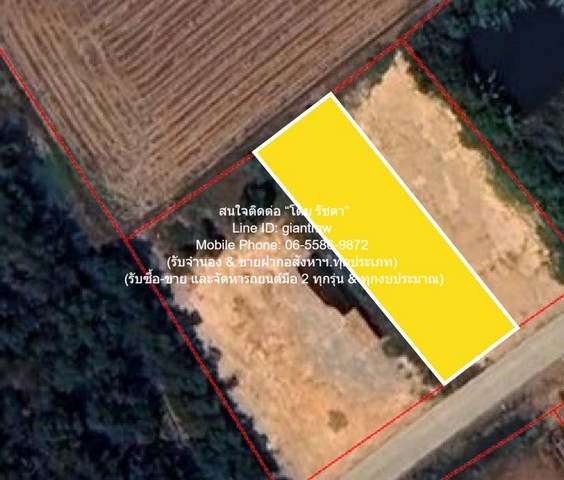 ประกาศฟรี! ซื้อ-ขาย-เช่า คอนโด บ้าน ทาวน์โฮม ที่ดิน และพื้นที่เชิงพาณิชย์ทั่วประเทศไทย ทุกทำเล ทุกงบประมาณ ไม่มีค่าใช้จ่าย ลงง่าย ขายไว เข้าถึงผู้ซื้อโดยตรง 2 297215pic1.jpg