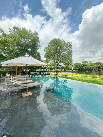 ประกาศฟรี! ซื้อ-ขาย-เช่า คอนโด บ้าน ทาวน์โฮม ที่ดิน และพื้นที่เชิงพาณิชย์ทั่วประเทศไทย ทุกทำเล ทุกงบประมาณ ไม่มีค่าใช้จ่าย ลงง่าย ขายไว เข้าถึงผู้ซื้อโดยตรง 3 297172pic2.jpg