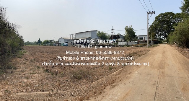 ประกาศฟรี! ซื้อ-ขาย-เช่า คอนโด บ้าน ทาวน์โฮม ที่ดิน และพื้นที่เชิงพาณิชย์ทั่วประเทศไทย ทุกทำเล ทุกงบประมาณ ไม่มีค่าใช้จ่าย ลงง่าย ขายไว เข้าถึงผู้ซื้อโดยตรง 3 296870pic2.jpg