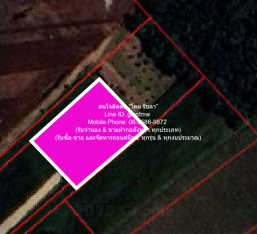 ประกาศฟรี! ซื้อ-ขาย-เช่า คอนโด บ้าน ทาวน์โฮม ที่ดิน และพื้นที่เชิงพาณิชย์ทั่วประเทศไทย ทุกทำเล ทุกงบประมาณ ไม่มีค่าใช้จ่าย ลงง่าย ขายไว เข้าถึงผู้ซื้อโดยตรง 2 296862pic1.jpg