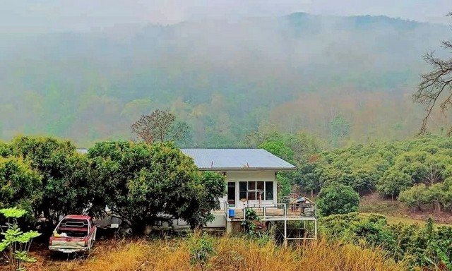 ประกาศฟรี! ซื้อ-ขาย-เช่า คอนโด บ้าน ทาวน์โฮม ที่ดิน และพื้นที่เชิงพาณิชย์ทั่วประเทศไทย ทุกทำเล ทุกงบประมาณ ไม่มีค่าใช้จ่าย ลงง่าย ขายไว เข้าถึงผู้ซื้อโดยตรง 4 226361pic3.jpg