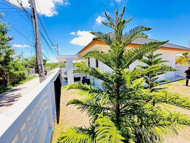 ประกาศฟรี! ซื้อ-ขาย-เช่า คอนโด บ้าน ทาวน์โฮม ที่ดิน และพื้นที่เชิงพาณิชย์ทั่วประเทศไทย ทุกทำเล ทุกงบประมาณ ไม่มีค่าใช้จ่าย ลงง่าย ขายไว เข้าถึงผู้ซื้อโดยตรง 5 226355pic4.jpg