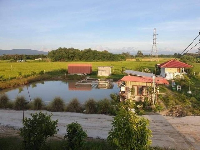 ประกาศฟรี! ซื้อ-ขาย-เช่า คอนโด บ้าน ทาวน์โฮม ที่ดิน และพื้นที่เชิงพาณิชย์ทั่วประเทศไทย ทุกทำเล ทุกงบประมาณ ไม่มีค่าใช้จ่าย ลงง่าย ขายไว เข้าถึงผู้ซื้อโดยตรง 2 226350pic1.jpg