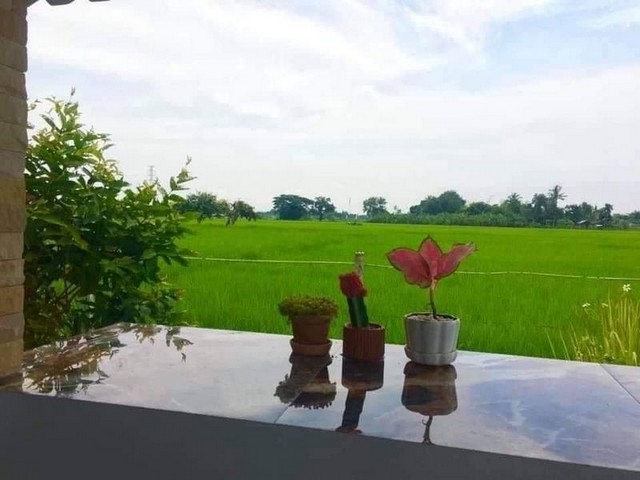 ประกาศฟรี! ซื้อ-ขาย-เช่า คอนโด บ้าน ทาวน์โฮม ที่ดิน และพื้นที่เชิงพาณิชย์ทั่วประเทศไทย ทุกทำเล ทุกงบประมาณ ไม่มีค่าใช้จ่าย ลงง่าย ขายไว เข้าถึงผู้ซื้อโดยตรง 4 226350pic3.jpg