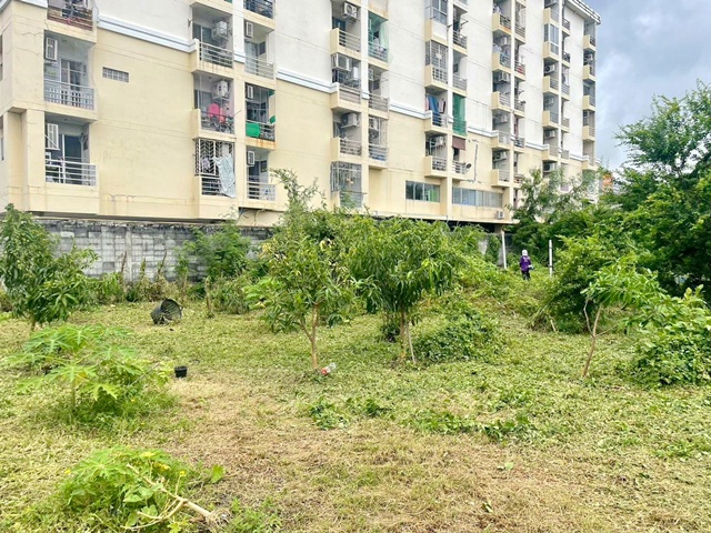 ประกาศฟรี! ซื้อ-ขาย-เช่า คอนโด บ้าน ทาวน์โฮม ที่ดิน และพื้นที่เชิงพาณิชย์ทั่วประเทศไทย ทุกทำเล ทุกงบประมาณ ไม่มีค่าใช้จ่าย ลงง่าย ขายไว เข้าถึงผู้ซื้อโดยตรง 5 226463pic4.jpg