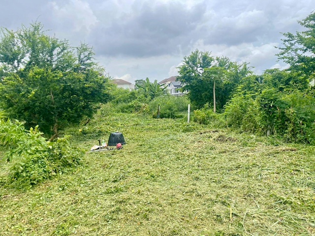 ประกาศฟรี! ซื้อ-ขาย-เช่า คอนโด บ้าน ทาวน์โฮม ที่ดิน และพื้นที่เชิงพาณิชย์ทั่วประเทศไทย ทุกทำเล ทุกงบประมาณ ไม่มีค่าใช้จ่าย ลงง่าย ขายไว เข้าถึงผู้ซื้อโดยตรง 3 226466pic2.jpg