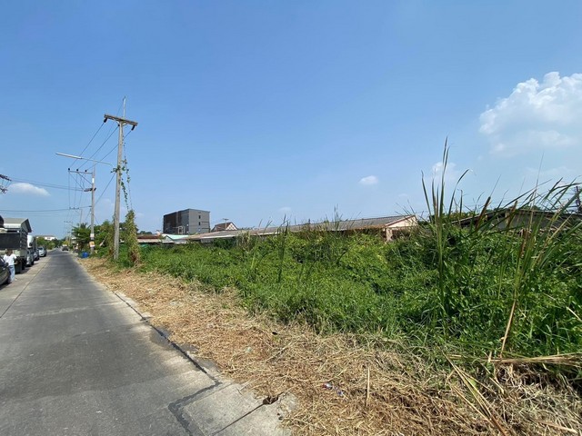 ประกาศฟรี! ซื้อ-ขาย-เช่า คอนโด บ้าน ทาวน์โฮม ที่ดิน และพื้นที่เชิงพาณิชย์ทั่วประเทศไทย ทุกทำเล ทุกงบประมาณ ไม่มีค่าใช้จ่าย ลงง่าย ขายไว เข้าถึงผู้ซื้อโดยตรง 5 305702pic4.jpg