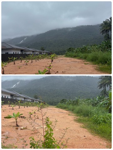 ประกาศฟรี! ซื้อ-ขาย-เช่า คอนโด บ้าน ทาวน์โฮม ที่ดิน และพื้นที่เชิงพาณิชย์ทั่วประเทศไทย ทุกทำเล ทุกงบประมาณ ไม่มีค่าใช้จ่าย ลงง่าย ขายไว เข้าถึงผู้ซื้อโดยตรง 2 229690pic1.jpg