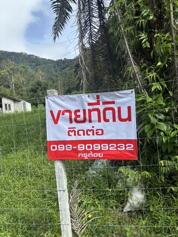 ประกาศฟรี! ซื้อ-ขาย-เช่า คอนโด บ้าน ทาวน์โฮม ที่ดิน และพื้นที่เชิงพาณิชย์ทั่วประเทศไทย ทุกทำเล ทุกงบประมาณ ไม่มีค่าใช้จ่าย ลงง่าย ขายไว เข้าถึงผู้ซื้อโดยตรง 2 229691pic1.jpg