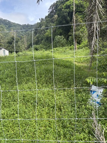 ประกาศฟรี! ซื้อ-ขาย-เช่า คอนโด บ้าน ทาวน์โฮม ที่ดิน และพื้นที่เชิงพาณิชย์ทั่วประเทศไทย ทุกทำเล ทุกงบประมาณ ไม่มีค่าใช้จ่าย ลงง่าย ขายไว เข้าถึงผู้ซื้อโดยตรง 3 229691pic2.jpg