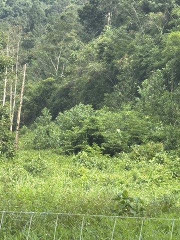 ประกาศฟรี! ซื้อ-ขาย-เช่า คอนโด บ้าน ทาวน์โฮม ที่ดิน และพื้นที่เชิงพาณิชย์ทั่วประเทศไทย ทุกทำเล ทุกงบประมาณ ไม่มีค่าใช้จ่าย ลงง่าย ขายไว เข้าถึงผู้ซื้อโดยตรง 4 229691pic3.jpg