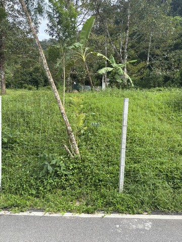 ประกาศฟรี! ซื้อ-ขาย-เช่า คอนโด บ้าน ทาวน์โฮม ที่ดิน และพื้นที่เชิงพาณิชย์ทั่วประเทศไทย ทุกทำเล ทุกงบประมาณ ไม่มีค่าใช้จ่าย ลงง่าย ขายไว เข้าถึงผู้ซื้อโดยตรง 5 229691pic4.jpg