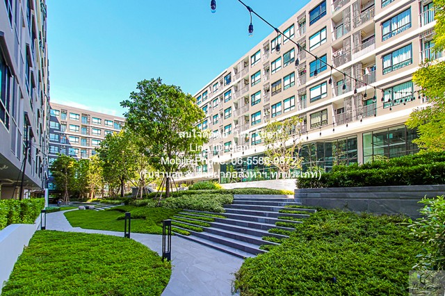 ประกาศฟรี! ซื้อ-ขาย-เช่า คอนโด บ้าน ทาวน์โฮม ที่ดิน และพื้นที่เชิงพาณิชย์ทั่วประเทศไทย ทุกทำเล ทุกงบประมาณ ไม่มีค่าใช้จ่าย ลงง่าย ขายไว เข้าถึงผู้ซื้อโดยตรง 2 287534pic1.jpg