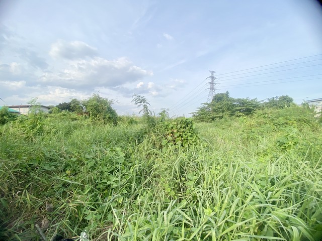 ประกาศฟรี! ซื้อ-ขาย-เช่า คอนโด บ้าน ทาวน์โฮม ที่ดิน และพื้นที่เชิงพาณิชย์ทั่วประเทศไทย ทุกทำเล ทุกงบประมาณ ไม่มีค่าใช้จ่าย ลงง่าย ขายไว เข้าถึงผู้ซื้อโดยตรง 5 305828pic4.jpg