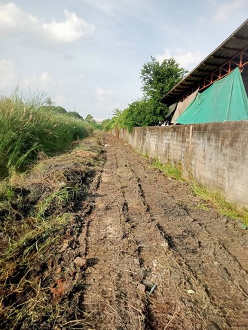 ประกาศฟรี! ซื้อ-ขาย-เช่า คอนโด บ้าน ทาวน์โฮม ที่ดิน และพื้นที่เชิงพาณิชย์ทั่วประเทศไทย ทุกทำเล ทุกงบประมาณ ไม่มีค่าใช้จ่าย ลงง่าย ขายไว เข้าถึงผู้ซื้อโดยตรง 4 229810pic3.jpg