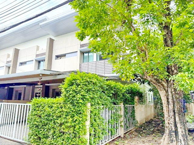 ประกาศฟรี! ซื้อ-ขาย-เช่า คอนโด บ้าน ทาวน์โฮม ที่ดิน และพื้นที่เชิงพาณิชย์ทั่วประเทศไทย ทุกทำเล ทุกงบประมาณ ไม่มีค่าใช้จ่าย ลงง่าย ขายไว เข้าถึงผู้ซื้อโดยตรง 2 228788pic1.jpg