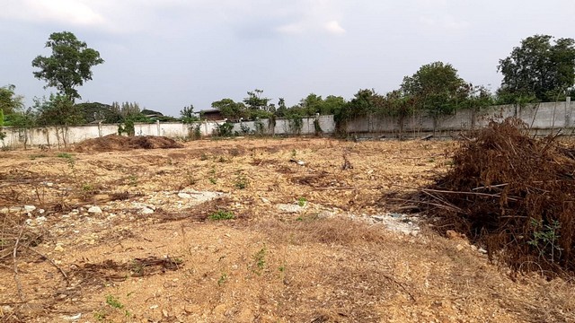 ประกาศฟรี! ซื้อ-ขาย-เช่า คอนโด บ้าน ทาวน์โฮม ที่ดิน และพื้นที่เชิงพาณิชย์ทั่วประเทศไทย ทุกทำเล ทุกงบประมาณ ไม่มีค่าใช้จ่าย ลงง่าย ขายไว เข้าถึงผู้ซื้อโดยตรง 2 503298pic1.jpg