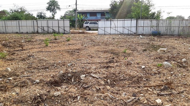 ประกาศฟรี! ซื้อ-ขาย-เช่า คอนโด บ้าน ทาวน์โฮม ที่ดิน และพื้นที่เชิงพาณิชย์ทั่วประเทศไทย ทุกทำเล ทุกงบประมาณ ไม่มีค่าใช้จ่าย ลงง่าย ขายไว เข้าถึงผู้ซื้อโดยตรง 3 503298pic2.jpg