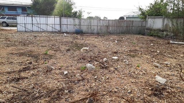 ประกาศฟรี! ซื้อ-ขาย-เช่า คอนโด บ้าน ทาวน์โฮม ที่ดิน และพื้นที่เชิงพาณิชย์ทั่วประเทศไทย ทุกทำเล ทุกงบประมาณ ไม่มีค่าใช้จ่าย ลงง่าย ขายไว เข้าถึงผู้ซื้อโดยตรง 4 503298pic3.jpg