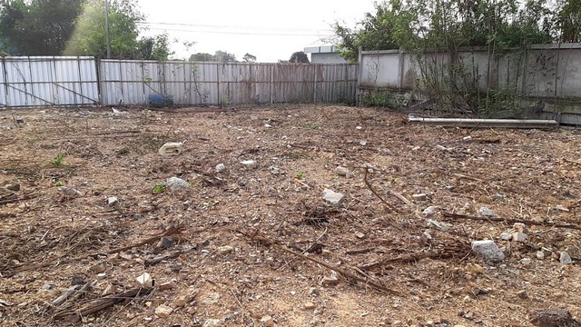 ประกาศฟรี! ซื้อ-ขาย-เช่า คอนโด บ้าน ทาวน์โฮม ที่ดิน และพื้นที่เชิงพาณิชย์ทั่วประเทศไทย ทุกทำเล ทุกงบประมาณ ไม่มีค่าใช้จ่าย ลงง่าย ขายไว เข้าถึงผู้ซื้อโดยตรง 5 503298pic4.jpg