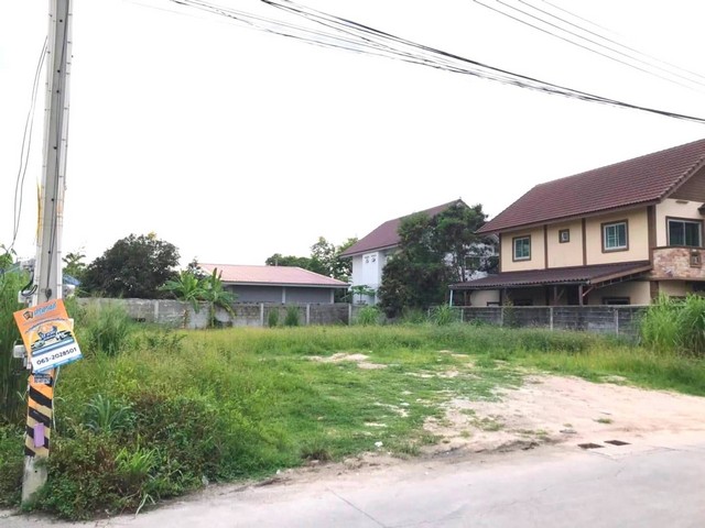 ประกาศฟรี! ซื้อ-ขาย-เช่า คอนโด บ้าน ทาวน์โฮม ที่ดิน และพื้นที่เชิงพาณิชย์ทั่วประเทศไทย ทุกทำเล ทุกงบประมาณ ไม่มีค่าใช้จ่าย ลงง่าย ขายไว เข้าถึงผู้ซื้อโดยตรง 4 305841pic3.jpg