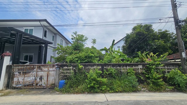 ประกาศฟรี! ซื้อ-ขาย-เช่า คอนโด บ้าน ทาวน์โฮม ที่ดิน และพื้นที่เชิงพาณิชย์ทั่วประเทศไทย ทุกทำเล ทุกงบประมาณ ไม่มีค่าใช้จ่าย ลงง่าย ขายไว เข้าถึงผู้ซื้อโดยตรง 3 291031pic2.jpg