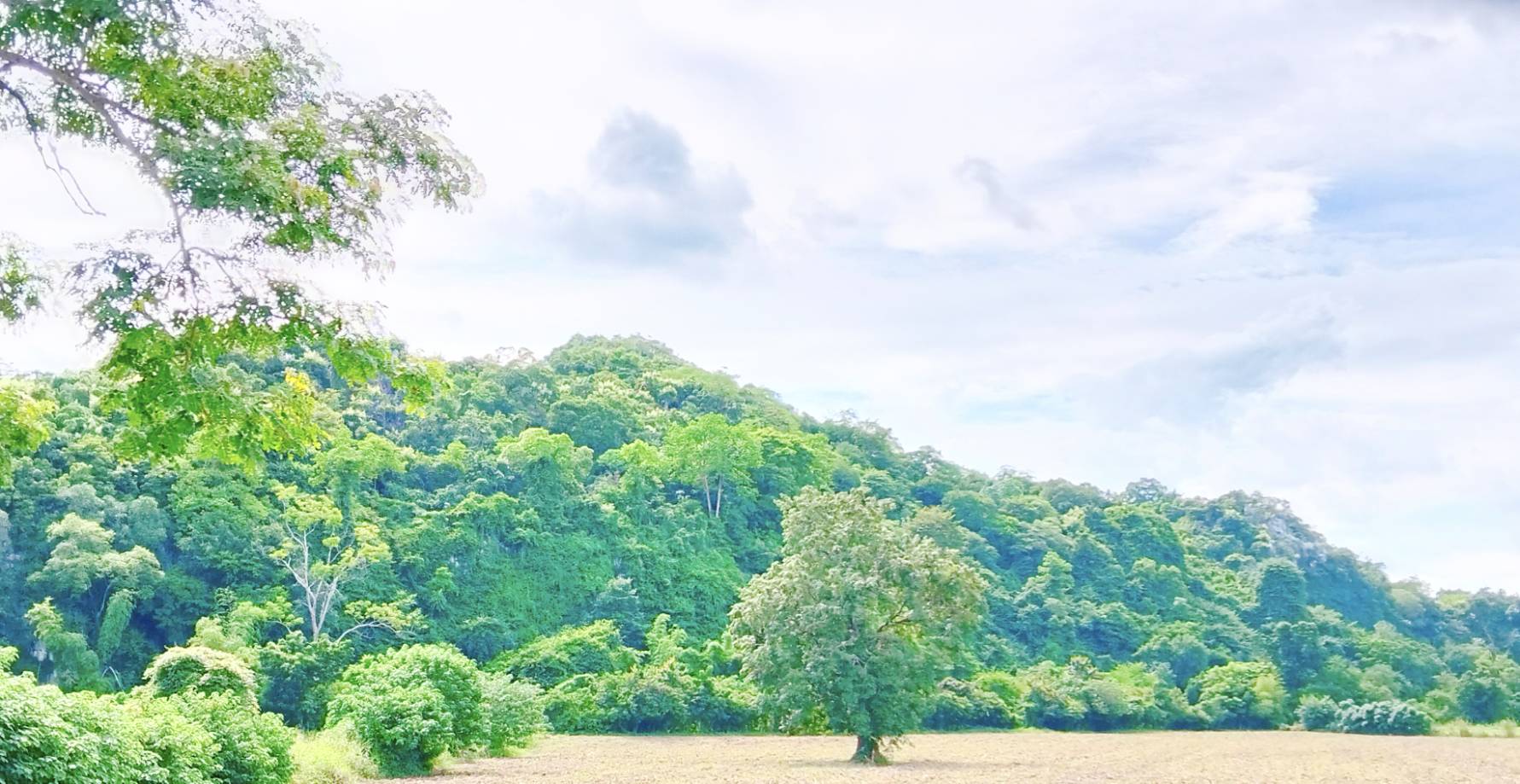 ประกาศฟรี! ซื้อ-ขาย-เช่า คอนโด บ้าน ทาวน์โฮม ที่ดิน และพื้นที่เชิงพาณิชย์ทั่วประเทศไทย ทุกทำเล ทุกงบประมาณ ไม่มีค่าใช้จ่าย ลงง่าย ขายไว เข้าถึงผู้ซื้อโดยตรง 3 305991pic2.jpg