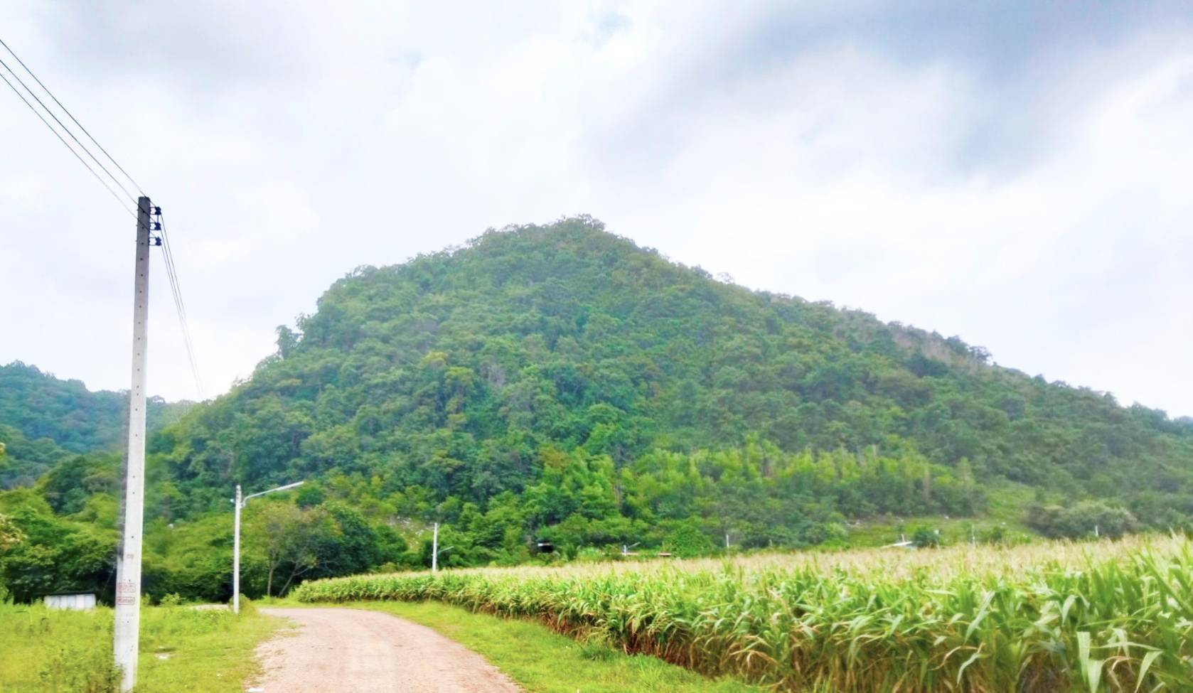 ประกาศฟรี! ซื้อ-ขาย-เช่า คอนโด บ้าน ทาวน์โฮม ที่ดิน และพื้นที่เชิงพาณิชย์ทั่วประเทศไทย ทุกทำเล ทุกงบประมาณ ไม่มีค่าใช้จ่าย ลงง่าย ขายไว เข้าถึงผู้ซื้อโดยตรง 4 305991pic3.jpg