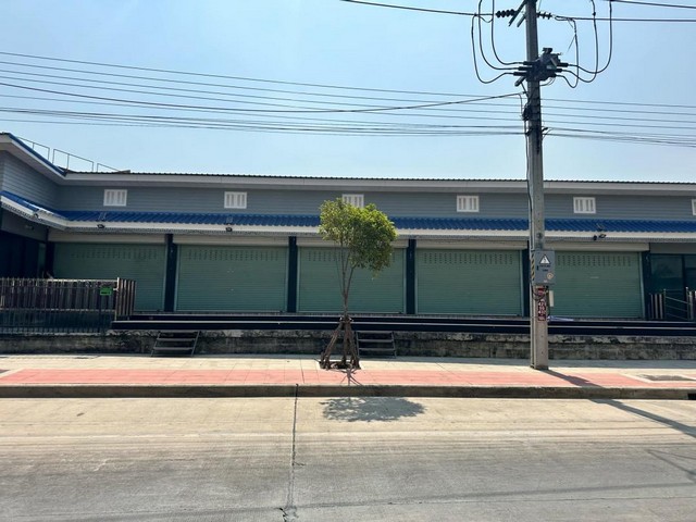 ประกาศฟรี! ซื้อ-ขาย-เช่า คอนโด บ้าน ทาวน์โฮม ที่ดิน และพื้นที่เชิงพาณิชย์ทั่วประเทศไทย ทุกทำเล ทุกงบประมาณ ไม่มีค่าใช้จ่าย ลงง่าย ขายไว เข้าถึงผู้ซื้อโดยตรง 2 503347pic1.jpg