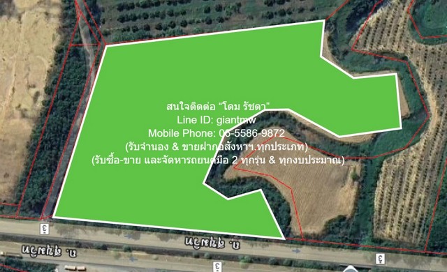 ประกาศฟรี! ซื้อ-ขาย-เช่า คอนโด บ้าน ทาวน์โฮม ที่ดิน และพื้นที่เชิงพาณิชย์ทั่วประเทศไทย ทุกทำเล ทุกงบประมาณ ไม่มีค่าใช้จ่าย ลงง่าย ขายไว เข้าถึงผู้ซื้อโดยตรง 2 297082pic1.jpg