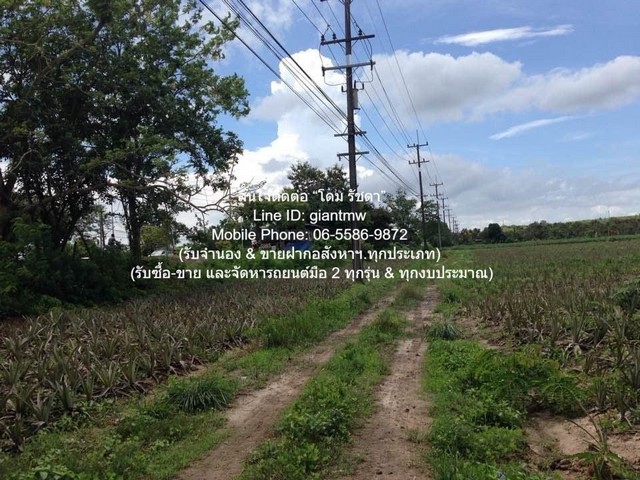 ประกาศฟรี! ซื้อ-ขาย-เช่า คอนโด บ้าน ทาวน์โฮม ที่ดิน และพื้นที่เชิงพาณิชย์ทั่วประเทศไทย ทุกทำเล ทุกงบประมาณ ไม่มีค่าใช้จ่าย ลงง่าย ขายไว เข้าถึงผู้ซื้อโดยตรง 3 297082pic2.jpg