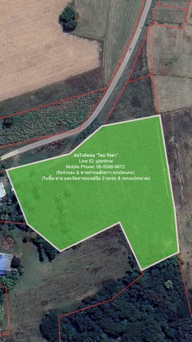 ประกาศฟรี! ซื้อ-ขาย-เช่า คอนโด บ้าน ทาวน์โฮม ที่ดิน และพื้นที่เชิงพาณิชย์ทั่วประเทศไทย ทุกทำเล ทุกงบประมาณ ไม่มีค่าใช้จ่าย ลงง่าย ขายไว เข้าถึงผู้ซื้อโดยตรง 2 295286pic1.jpg