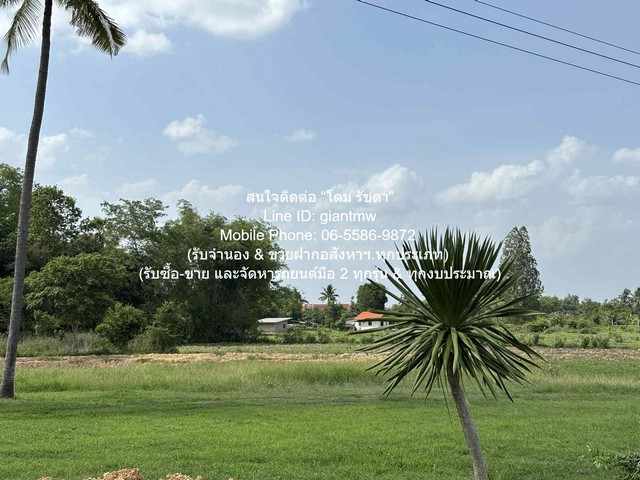 ประกาศฟรี! ซื้อ-ขาย-เช่า คอนโด บ้าน ทาวน์โฮม ที่ดิน และพื้นที่เชิงพาณิชย์ทั่วประเทศไทย ทุกทำเล ทุกงบประมาณ ไม่มีค่าใช้จ่าย ลงง่าย ขายไว เข้าถึงผู้ซื้อโดยตรง 4 295286pic3.jpg