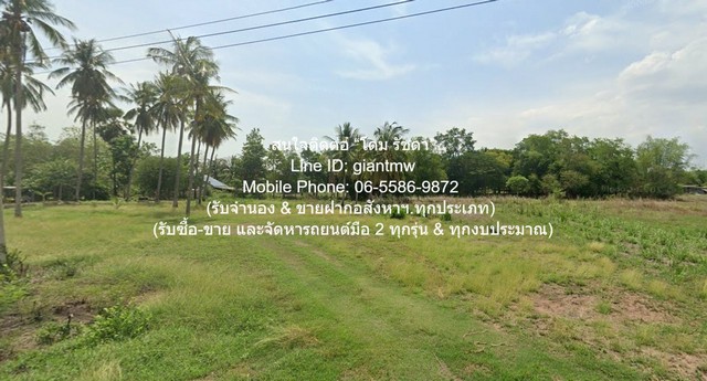 ประกาศฟรี! ซื้อ-ขาย-เช่า คอนโด บ้าน ทาวน์โฮม ที่ดิน และพื้นที่เชิงพาณิชย์ทั่วประเทศไทย ทุกทำเล ทุกงบประมาณ ไม่มีค่าใช้จ่าย ลงง่าย ขายไว เข้าถึงผู้ซื้อโดยตรง 5 295286pic4.jpg