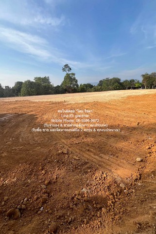 ประกาศฟรี! ซื้อ-ขาย-เช่า คอนโด บ้าน ทาวน์โฮม ที่ดิน และพื้นที่เชิงพาณิชย์ทั่วประเทศไทย ทุกทำเล ทุกงบประมาณ ไม่มีค่าใช้จ่าย ลงง่าย ขายไว เข้าถึงผู้ซื้อโดยตรง 2 292038pic1.jpg