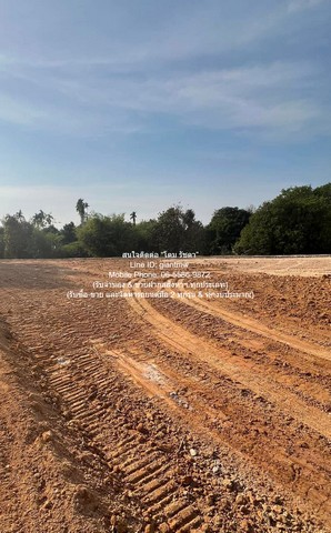 ประกาศฟรี! ซื้อ-ขาย-เช่า คอนโด บ้าน ทาวน์โฮม ที่ดิน และพื้นที่เชิงพาณิชย์ทั่วประเทศไทย ทุกทำเล ทุกงบประมาณ ไม่มีค่าใช้จ่าย ลงง่าย ขายไว เข้าถึงผู้ซื้อโดยตรง 4 292038pic3.jpg