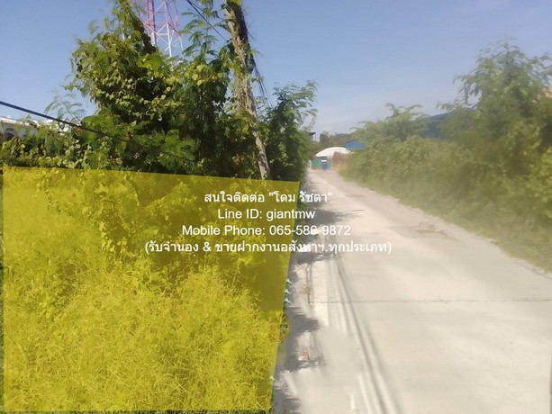 ประกาศฟรี! ซื้อ-ขาย-เช่า คอนโด บ้าน ทาวน์โฮม ที่ดิน และพื้นที่เชิงพาณิชย์ทั่วประเทศไทย ทุกทำเล ทุกงบประมาณ ไม่มีค่าใช้จ่าย ลงง่าย ขายไว เข้าถึงผู้ซื้อโดยตรง 4 280600pic3.jpg