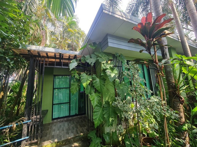 ประกาศฟรี! ซื้อ-ขาย-เช่า คอนโด บ้าน ทาวน์โฮม ที่ดิน และพื้นที่เชิงพาณิชย์ทั่วประเทศไทย ทุกทำเล ทุกงบประมาณ ไม่มีค่าใช้จ่าย ลงง่าย ขายไว เข้าถึงผู้ซื้อโดยตรง 3 230095pic2.jpg