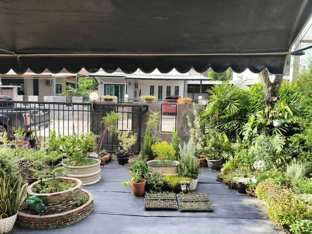 ประกาศฟรี! ซื้อ-ขาย-เช่า คอนโด บ้าน ทาวน์โฮม ที่ดิน และพื้นที่เชิงพาณิชย์ทั่วประเทศไทย ทุกทำเล ทุกงบประมาณ ไม่มีค่าใช้จ่าย ลงง่าย ขายไว เข้าถึงผู้ซื้อโดยตรง 3 230111pic2.jpg