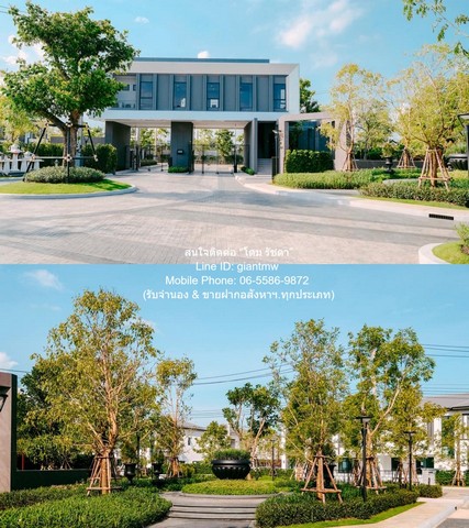 ประกาศฟรี! ซื้อ-ขาย-เช่า คอนโด บ้าน ทาวน์โฮม ที่ดิน และพื้นที่เชิงพาณิชย์ทั่วประเทศไทย ทุกทำเล ทุกงบประมาณ ไม่มีค่าใช้จ่าย ลงง่าย ขายไว เข้าถึงผู้ซื้อโดยตรง 2 286389pic1.jpg