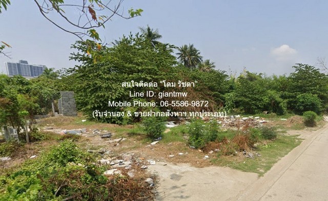 ประกาศฟรี! ซื้อ-ขาย-เช่า คอนโด บ้าน ทาวน์โฮม ที่ดิน และพื้นที่เชิงพาณิชย์ทั่วประเทศไทย ทุกทำเล ทุกงบประมาณ ไม่มีค่าใช้จ่าย ลงง่าย ขายไว เข้าถึงผู้ซื้อโดยตรง 5 286357pic4.jpg