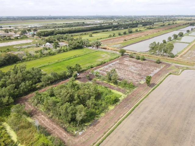 ประกาศฟรี! ซื้อ-ขาย-เช่า คอนโด บ้าน ทาวน์โฮม ที่ดิน และพื้นที่เชิงพาณิชย์ทั่วประเทศไทย ทุกทำเล ทุกงบประมาณ ไม่มีค่าใช้จ่าย ลงง่าย ขายไว เข้าถึงผู้ซื้อโดยตรง 3 291929pic2.jpg