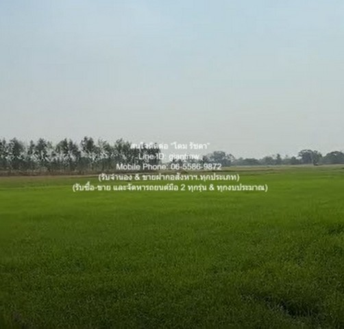 ประกาศฟรี! ซื้อ-ขาย-เช่า คอนโด บ้าน ทาวน์โฮม ที่ดิน และพื้นที่เชิงพาณิชย์ทั่วประเทศไทย ทุกทำเล ทุกงบประมาณ ไม่มีค่าใช้จ่าย ลงง่าย ขายไว เข้าถึงผู้ซื้อโดยตรง 4 292868pic3.jpg