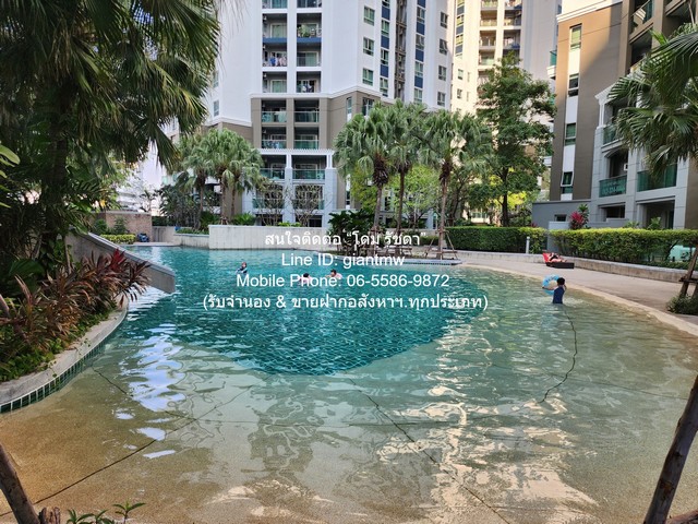 ประกาศฟรี! ซื้อ-ขาย-เช่า คอนโด บ้าน ทาวน์โฮม ที่ดิน และพื้นที่เชิงพาณิชย์ทั่วประเทศไทย ทุกทำเล ทุกงบประมาณ ไม่มีค่าใช้จ่าย ลงง่าย ขายไว เข้าถึงผู้ซื้อโดยตรง 3 286348pic2.jpg