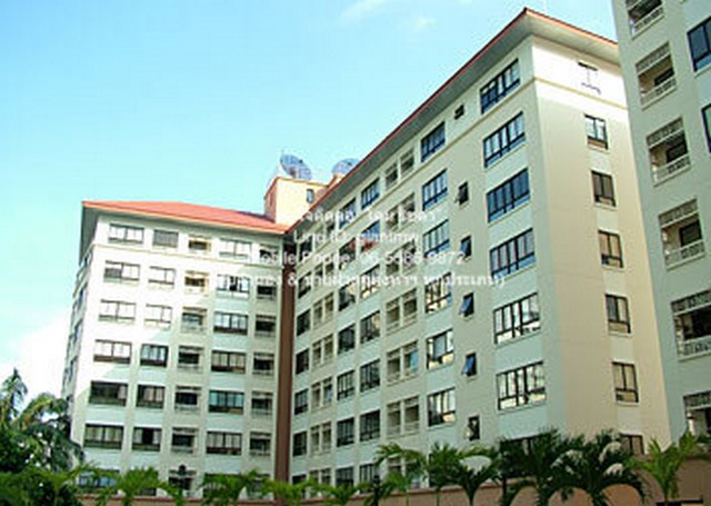 ประกาศฟรี! ซื้อ-ขาย-เช่า คอนโด บ้าน ทาวน์โฮม ที่ดิน และพื้นที่เชิงพาณิชย์ทั่วประเทศไทย ทุกทำเล ทุกงบประมาณ ไม่มีค่าใช้จ่าย ลงง่าย ขายไว เข้าถึงผู้ซื้อโดยตรง 2 286296pic1.jpg