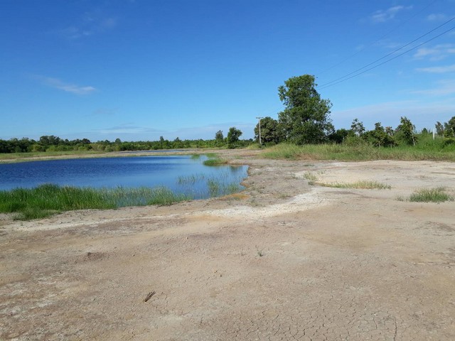 ประกาศฟรี! ซื้อ-ขาย-เช่า คอนโด บ้าน ทาวน์โฮม ที่ดิน และพื้นที่เชิงพาณิชย์ทั่วประเทศไทย ทุกทำเล ทุกงบประมาณ ไม่มีค่าใช้จ่าย ลงง่าย ขายไว เข้าถึงผู้ซื้อโดยตรง 3 11170pic2.jpg