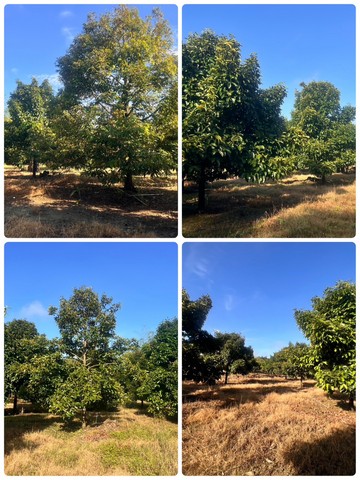 ประกาศฟรี! ซื้อ-ขาย-เช่า คอนโด บ้าน ทาวน์โฮม ที่ดิน และพื้นที่เชิงพาณิชย์ทั่วประเทศไทย ทุกทำเล ทุกงบประมาณ ไม่มีค่าใช้จ่าย ลงง่าย ขายไว เข้าถึงผู้ซื้อโดยตรง 3 230817pic2.jpg